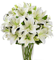FTD® Spirited Grace Lily Bouquet