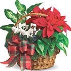 Holiday Homecoming Basket