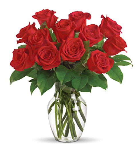 Enduring Passion Dozen Roses