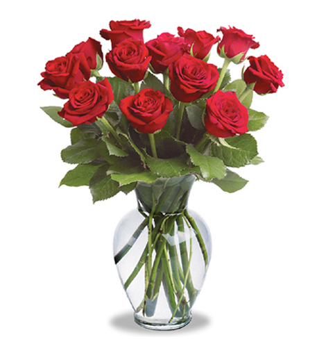 12 Roses Vased