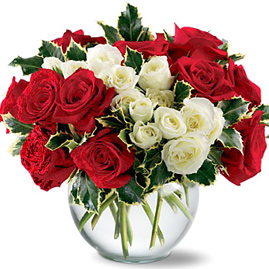 Holiday Enchantment Roses
