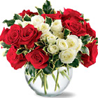 Holiday Enchantment Roses