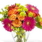 Bright Blossoms Bouquet