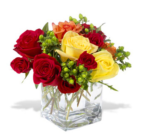 Carousel of Roses Cluster